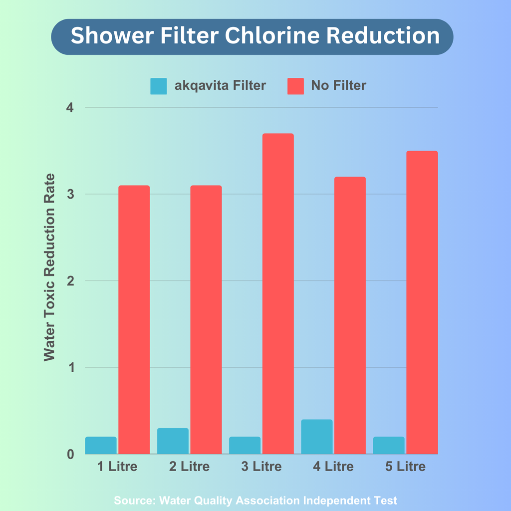 Premium Shower Head Filter Water Purifier