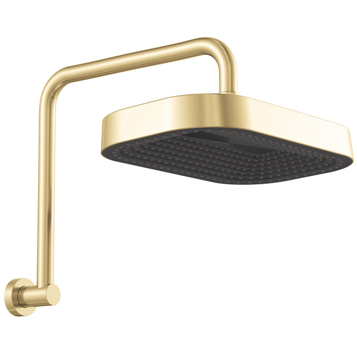 Fienza Kuro Gooseneck Shower Arm Set - Urban Brass