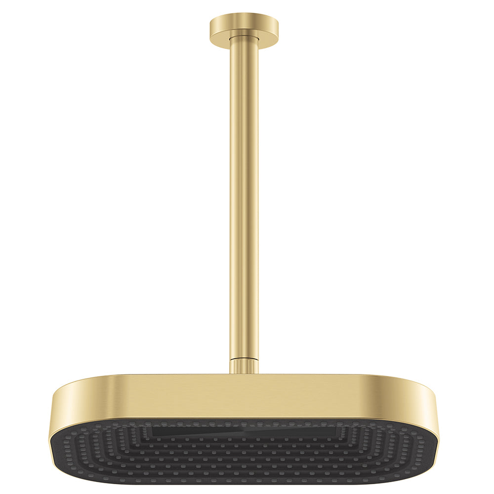 Fienza Kuro Shower Dropper Set - Urban Brass