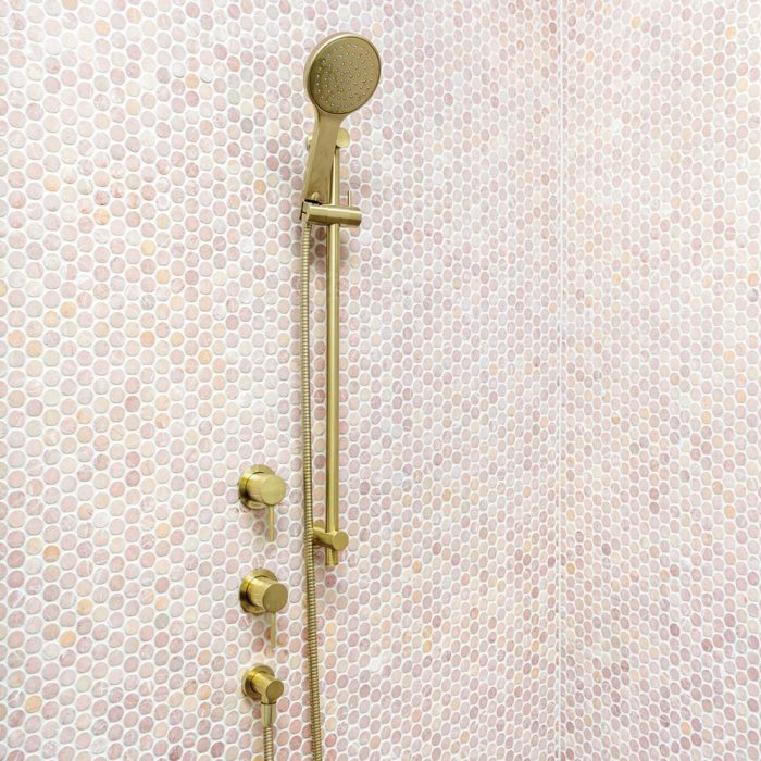 Fienza Kaya Rail Shower - Urban Brass