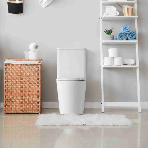 Berlino Back To Wall Toilet Suite Matte White