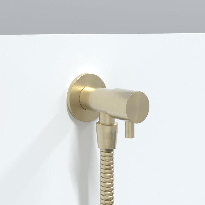 Premium Luxury Toilet Trigger Bidet Spray Kit with 1.2m Anti Burst Hose - Brushed Gold