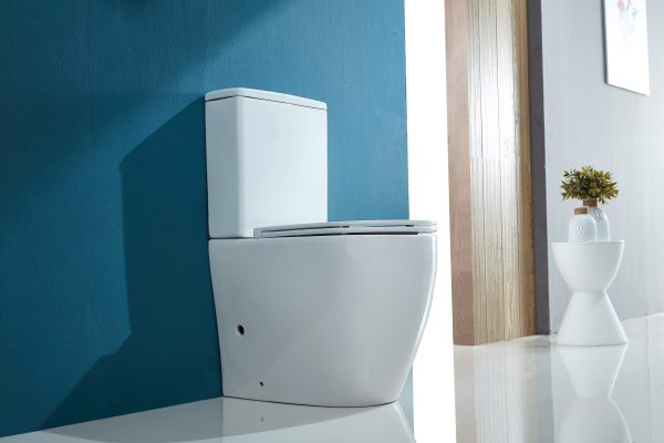 Ceralia Back To Wall Toilet Suite Gloss White