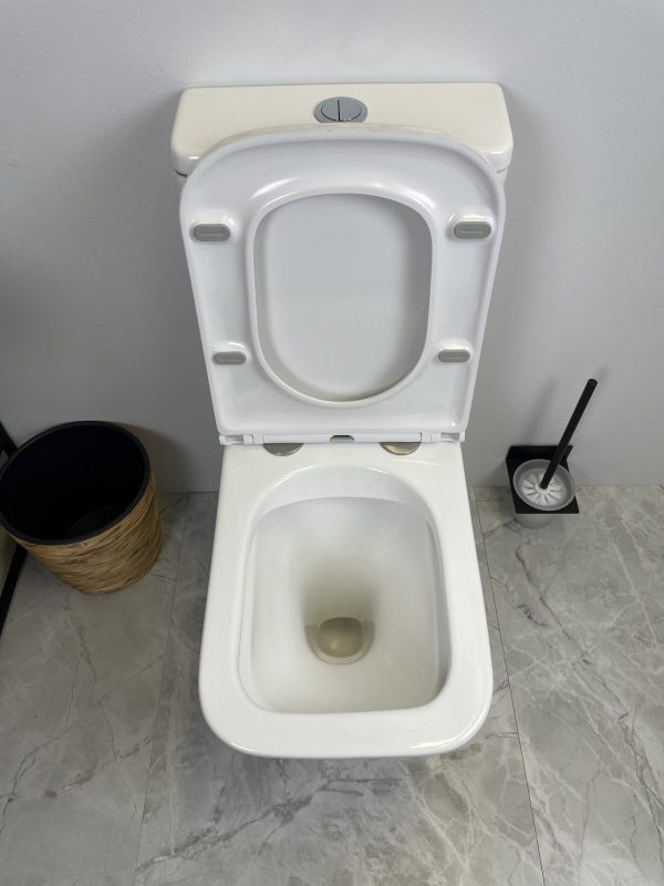 Knox Back to Wall Toilet Suite Gloss White