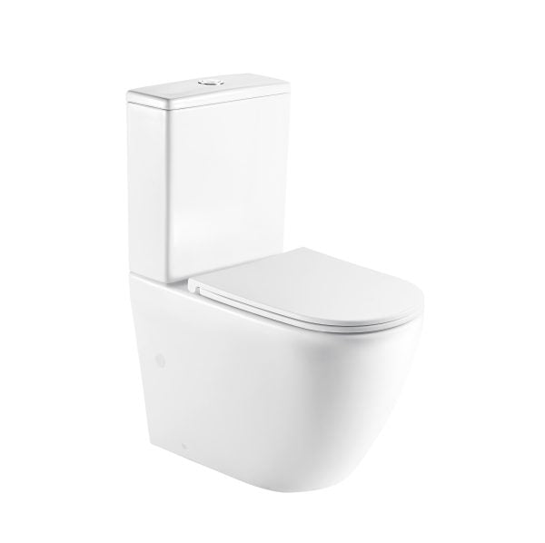 Hanili Back to Wall Toilet Suite Gloss White