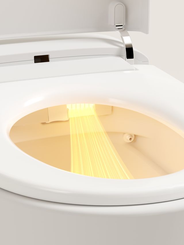 Lafeme Autolux Rimless Smart Toilet