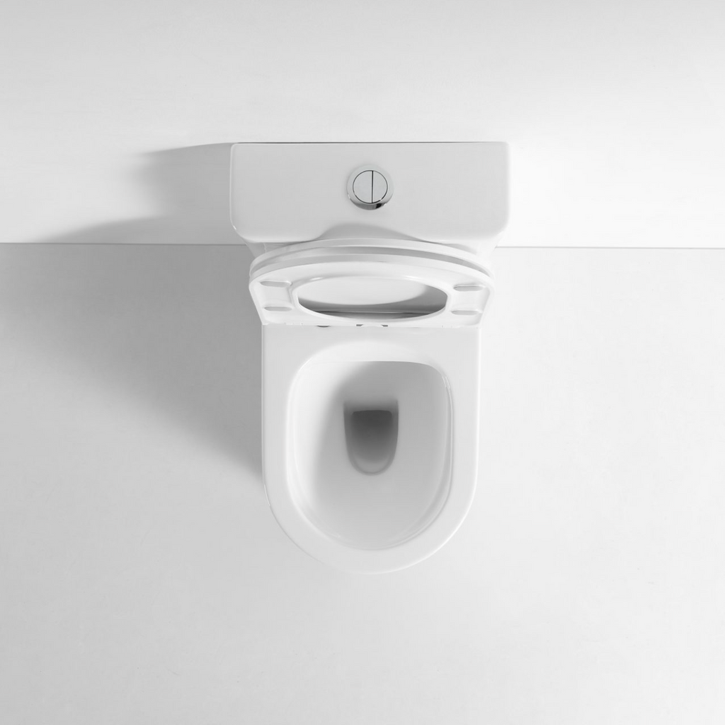Wattle Back To Wall Toilet Suite Gloss White