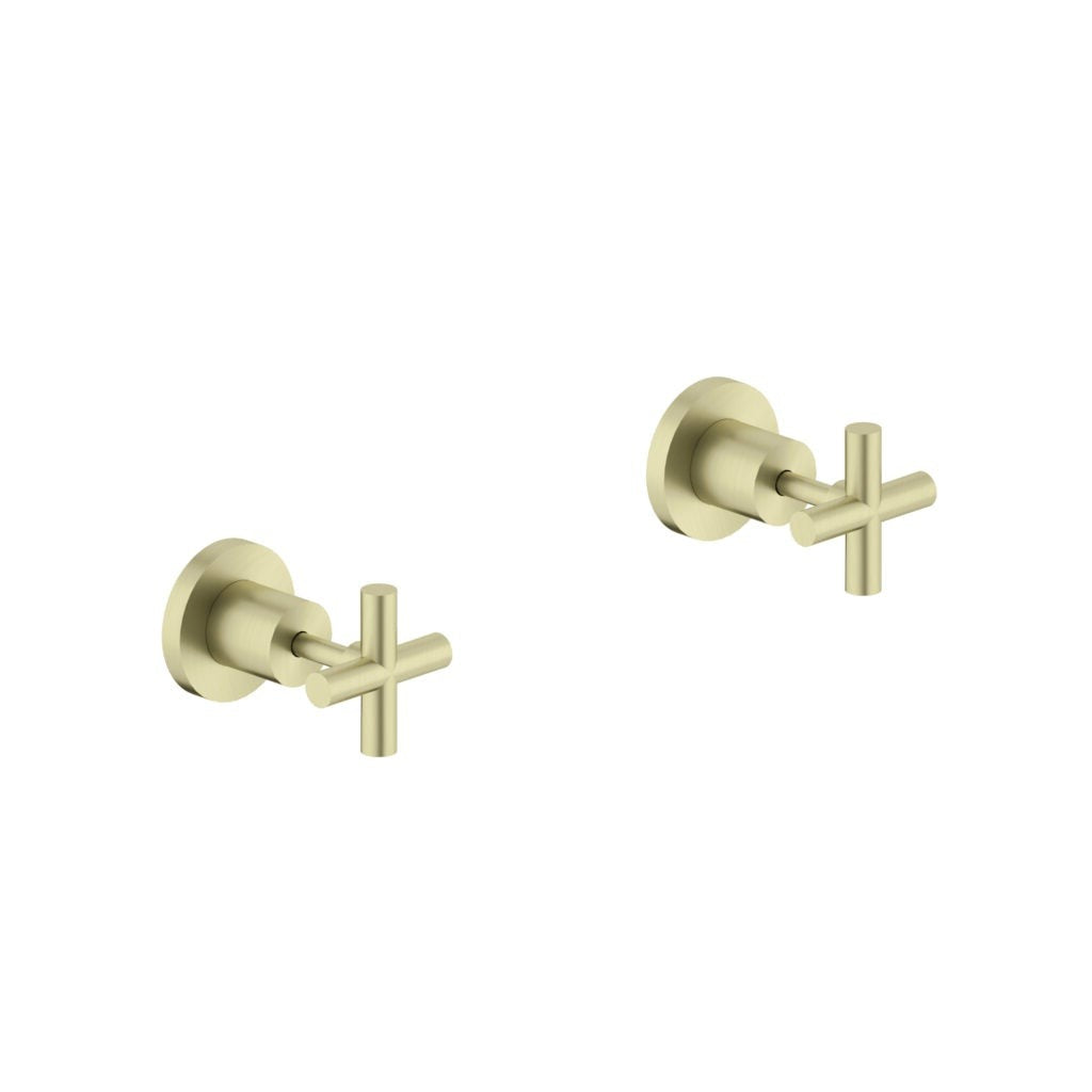 Nero X Plus Wall Top Assembly - Brushed Gold