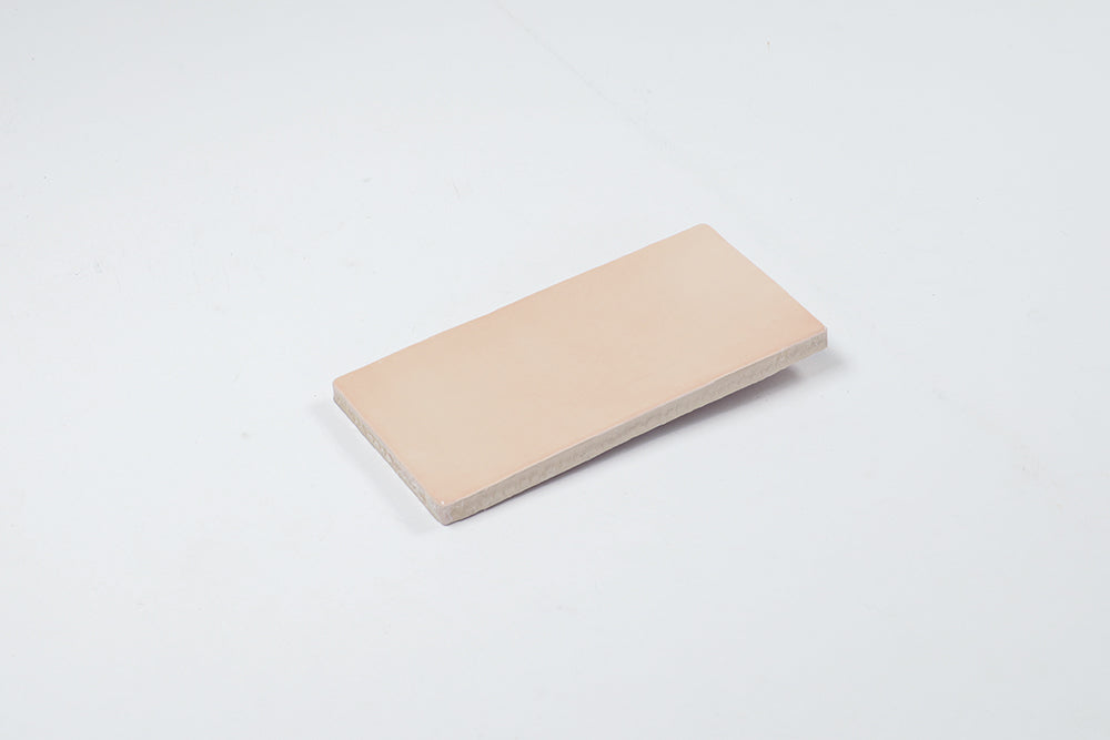 Palm Springs Pink Gloss Subway Tile