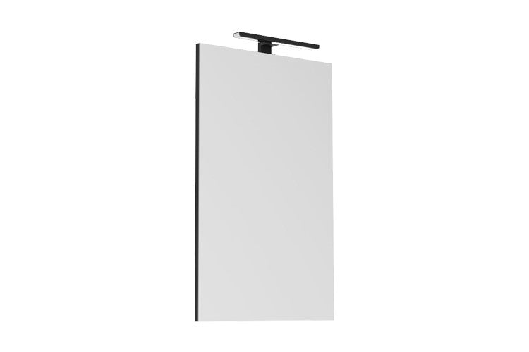 ADP Daylight Mirror with Overhead Matte Black Light - Wellsons