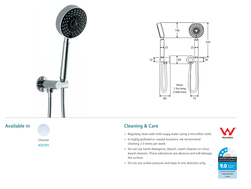 Fienza Michelle Hand Shower - Chrome