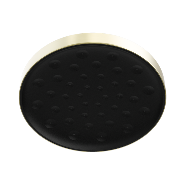 Nero Serenity Shower head - Brushed Gold