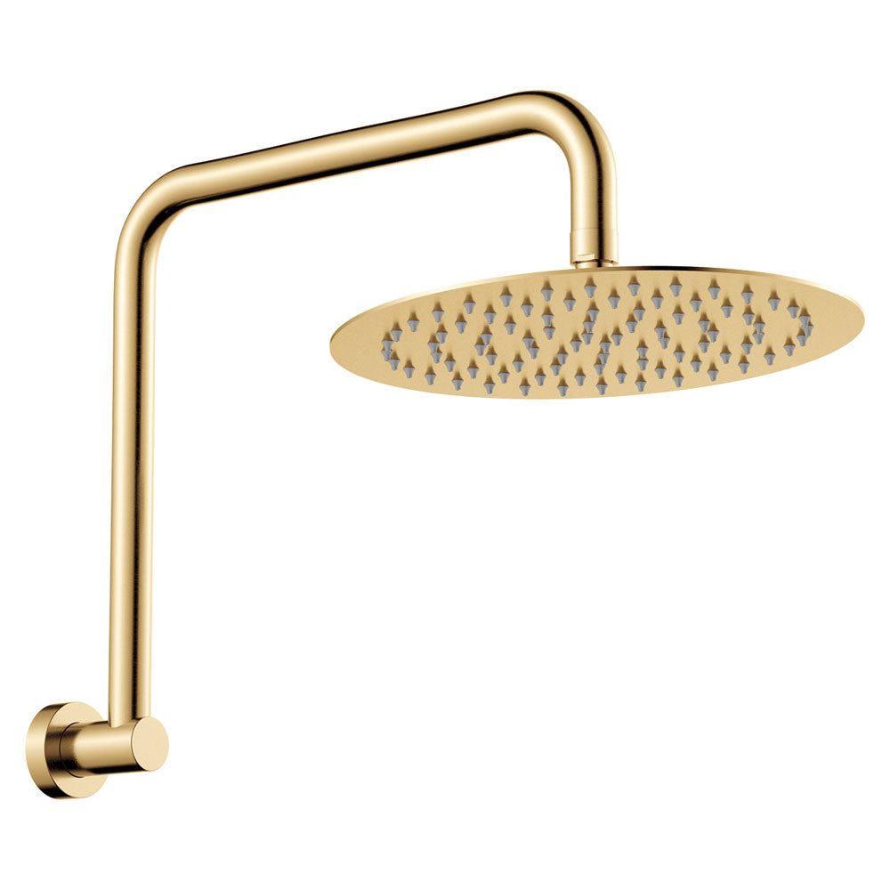 Fienza Kaya Gooseneck Shower Arm Set - Urban Brass