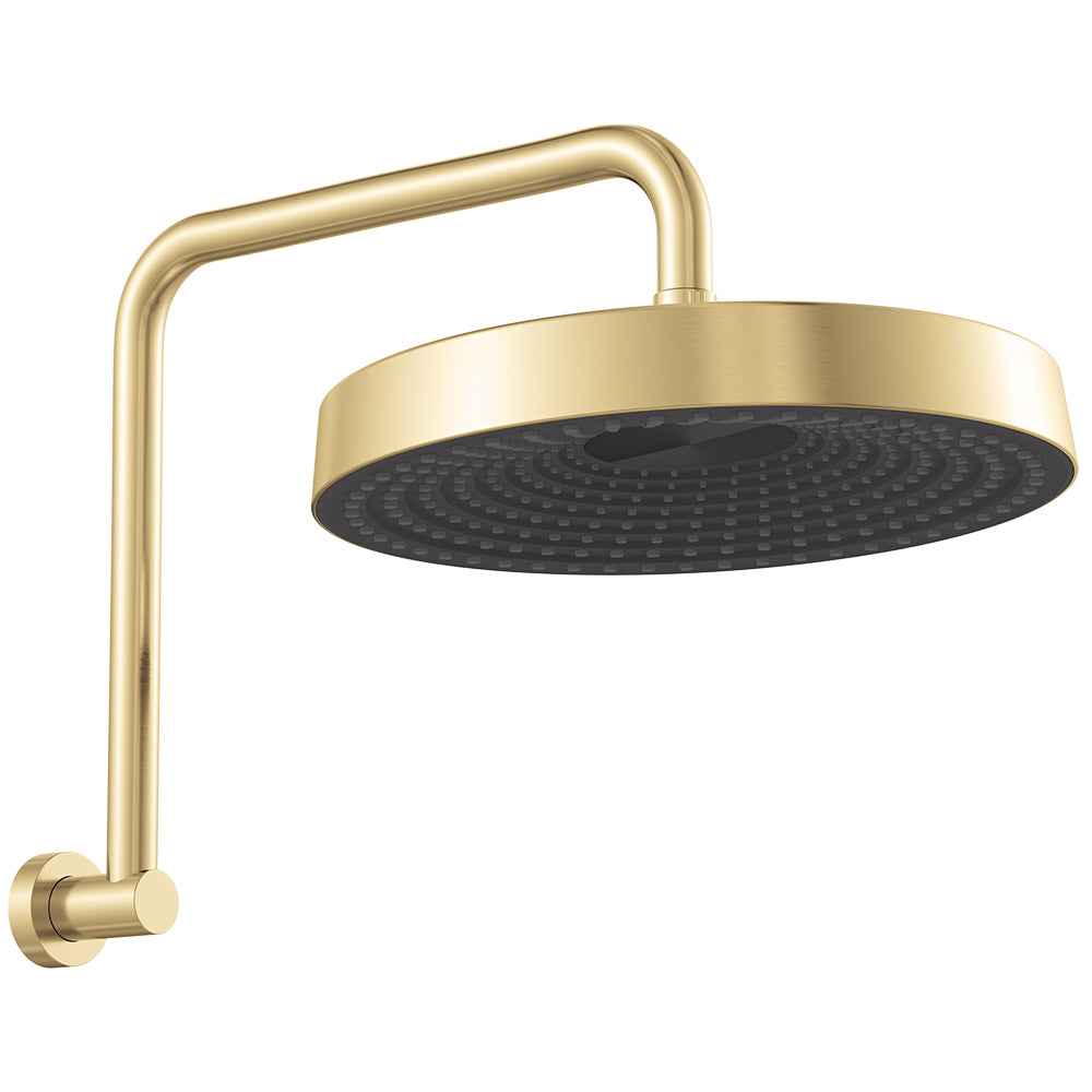 Fienza Kuro Gooseneck Shower Arm Set - Urban Brass