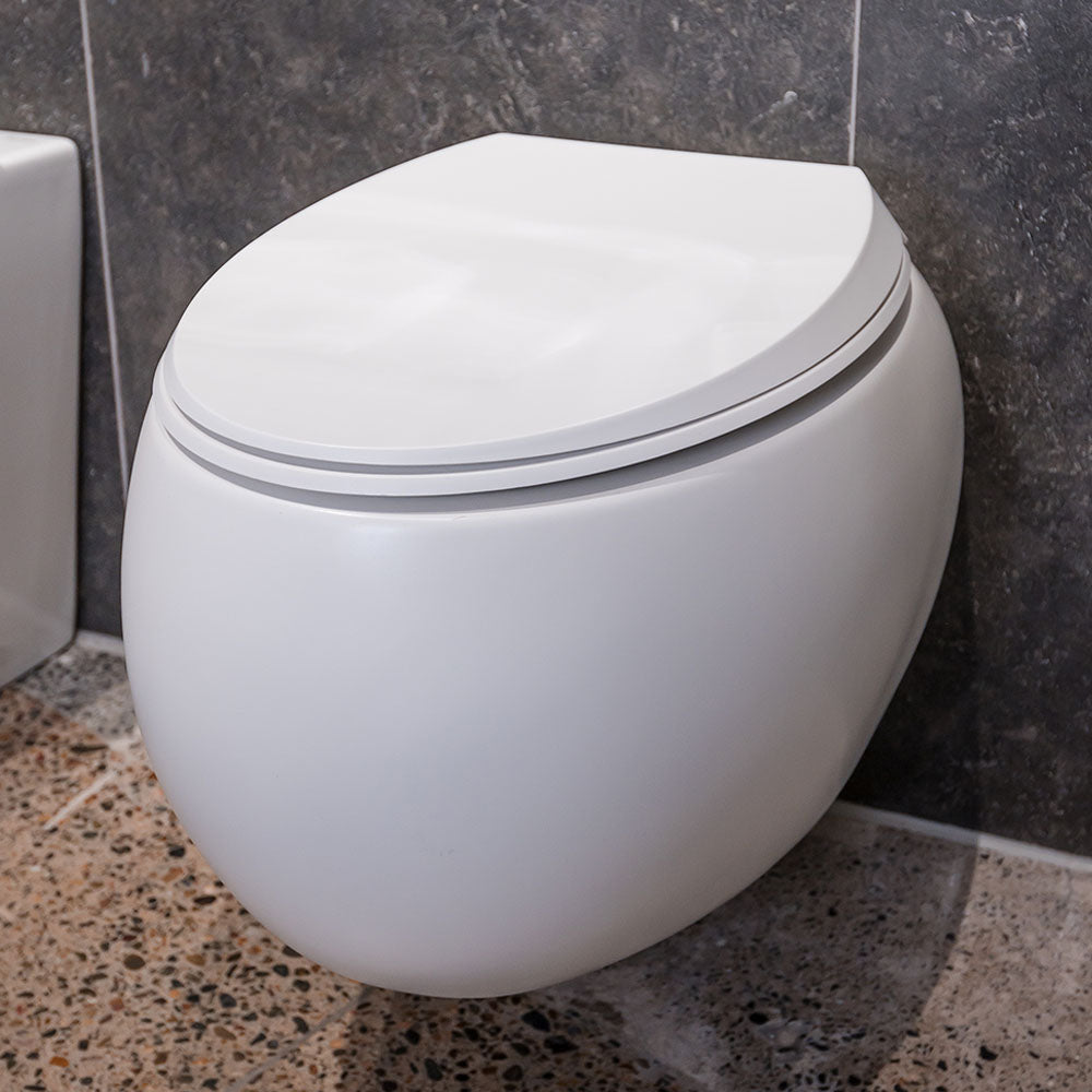 Fienza Rak Cloud Wall Hung Suite - Matte White