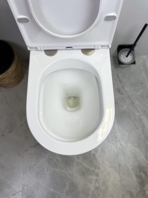 Ceralia Back To Wall Toilet Suite Gloss White