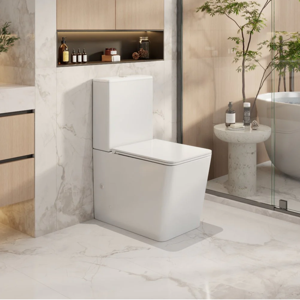 Knox Back to Wall Toilet Suite Gloss White