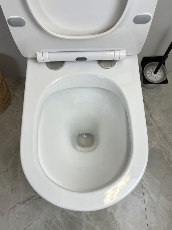 Hanili Back to Wall Toilet Suite Gloss White