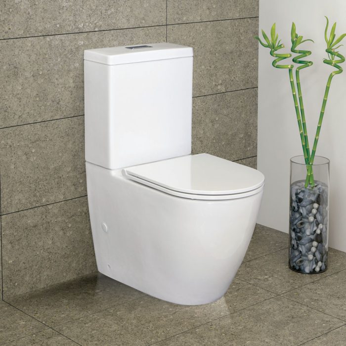 Fienza Empire Back-to-Wall Toilet Suite with Slim Seat - Gloss White