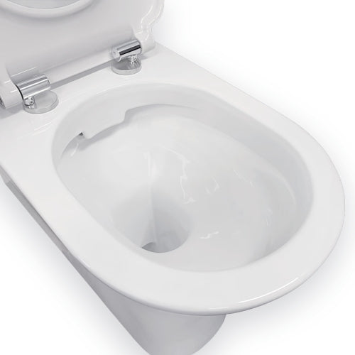 Fienza Delta Care Back-to-Wall Toilet Suite - Raised Buttons