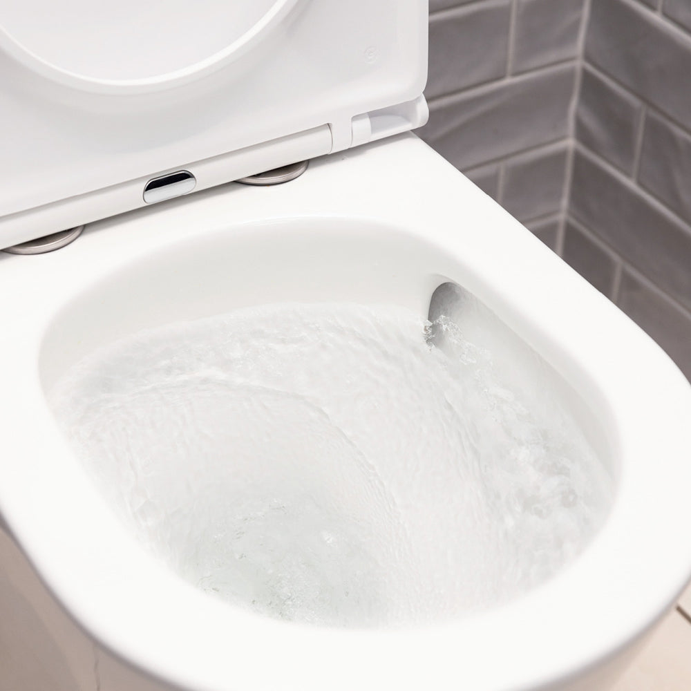 Fienza Tono Tornado Flush Back-to-Wall Toilet Suite - Slim Seat