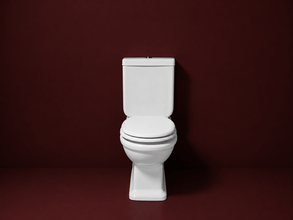 Turner Hastings Stafford Back to Wall Toilet Suite with Chrome Hinges - Gloss White