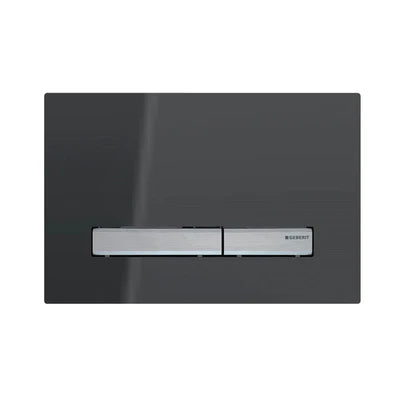 Geberit Dual Flush Button - Smoked Reflective Glass with Brushed Chrome Buttons