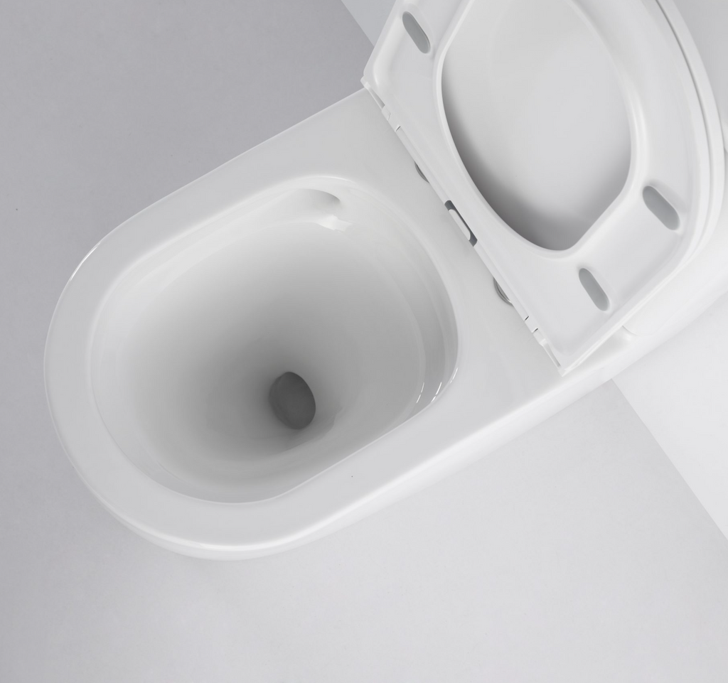 Wattle Back To Wall Toilet Suite Gloss White