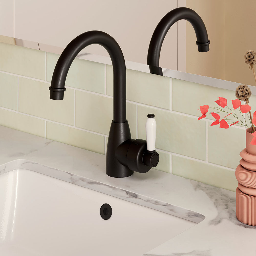 Fienza Eleanor Gooseneck Basin Mixer - Matte Black