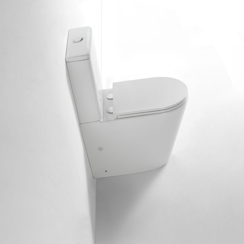 Wattle Back To Wall Toilet Suite Gloss White