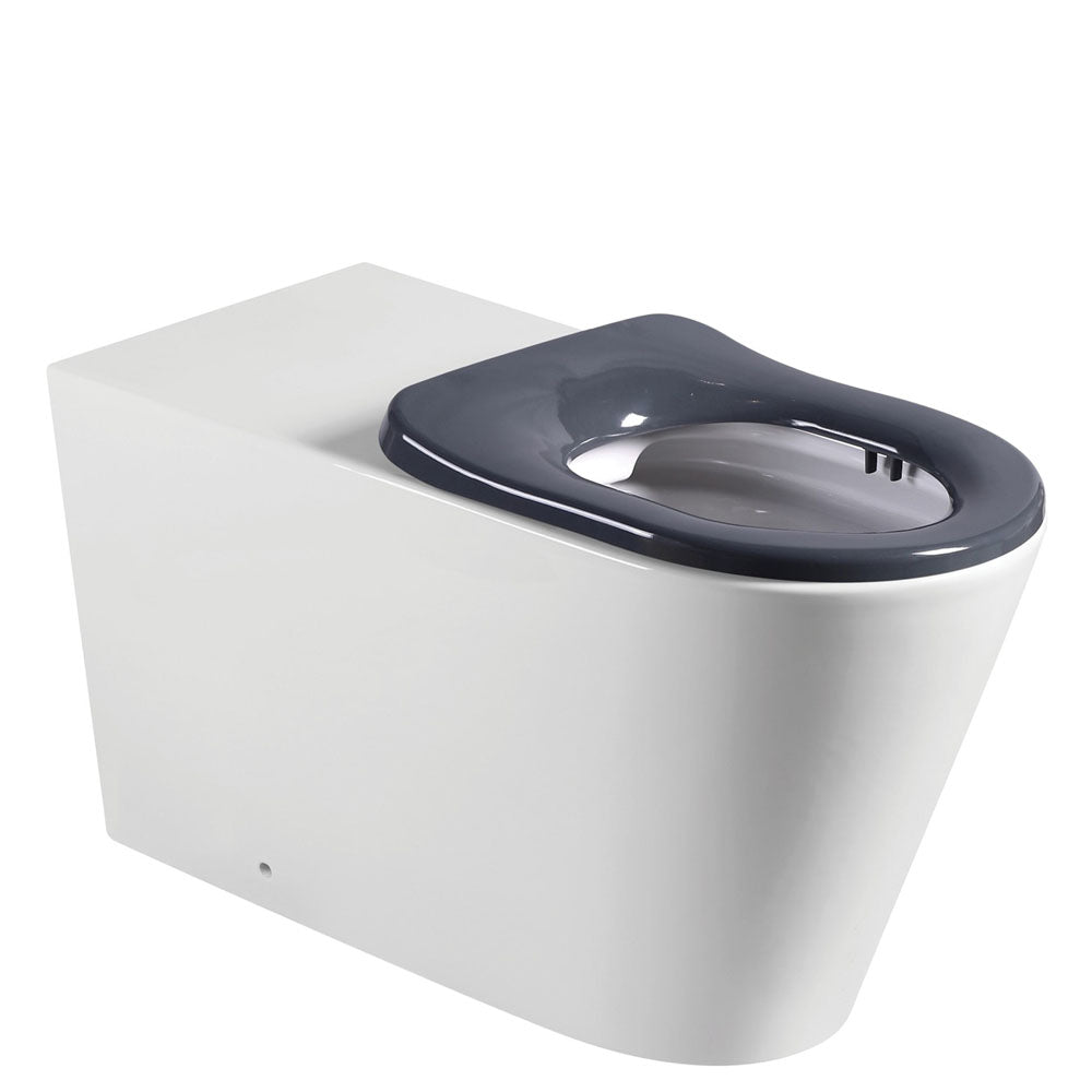 Fienza Isabella Care Back-to-Wall Toilet Suite - Grey Seat