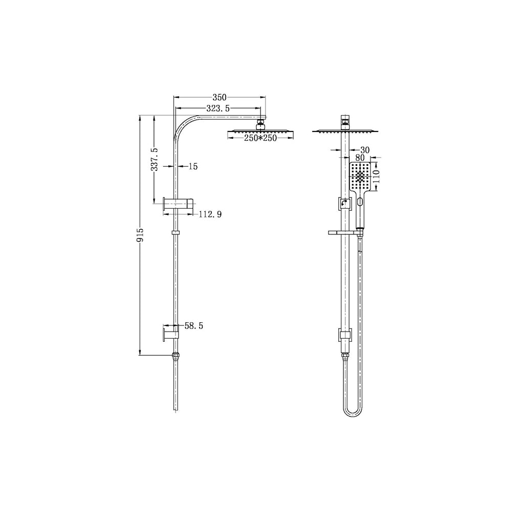 Nero Celia Flat Rail Square 250mm Combination Shower - Brushed Gold - Wellsons