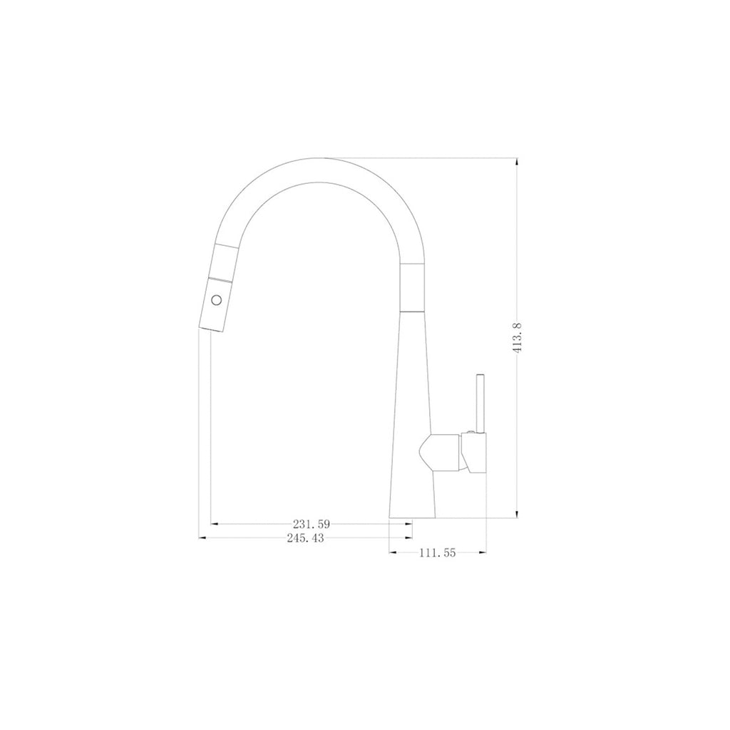 Nero Dolce Pull Out Kitchen Mixer With Veggie Spray Function - Matte Black - Wellsons