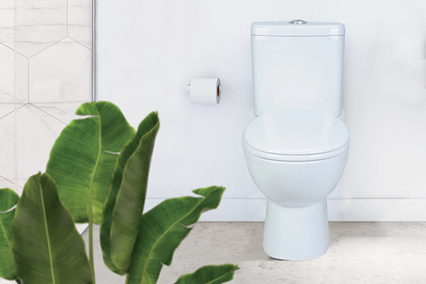 Decina Novara Rimless Ezi Height Closed Coupled Toilet Suite