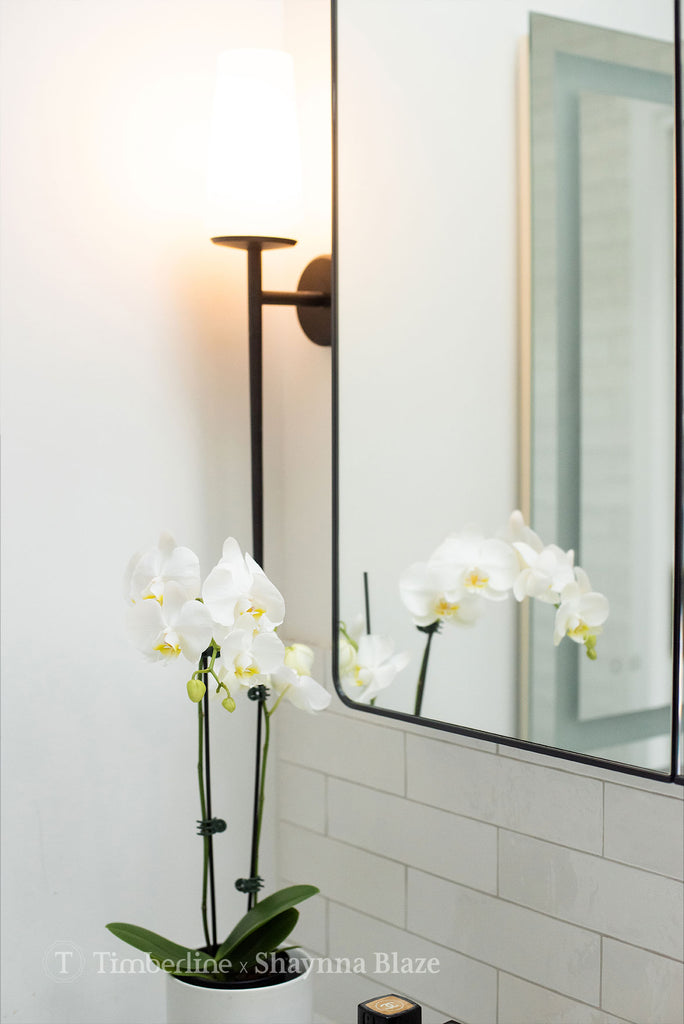 Timberline Sutherland House Shaving Cabinet