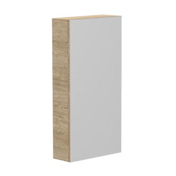 ADP Architectural Mirrored Cabinet - Wellsons