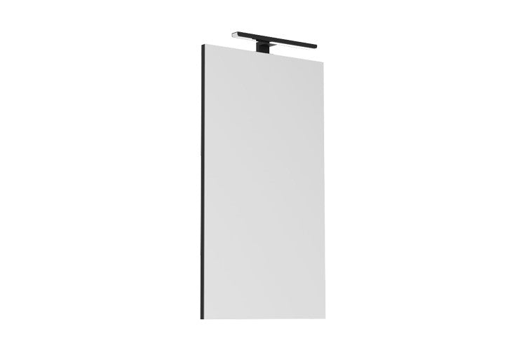 ADP Daylight Mirror with Overhead Matte Black Light - Wellsons