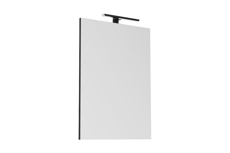 ADP Daylight Mirror with Overhead Matte Black Light - Wellsons