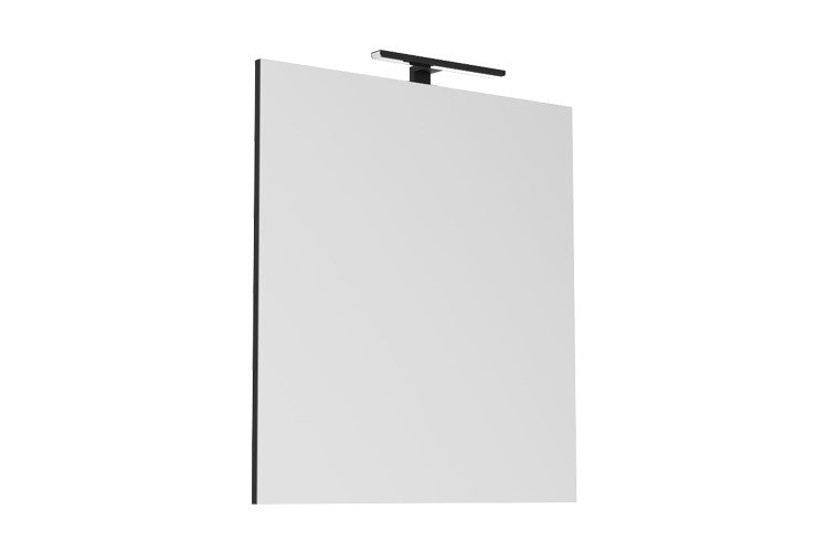 ADP Daylight Mirror with Overhead Matte Black Light - Wellsons